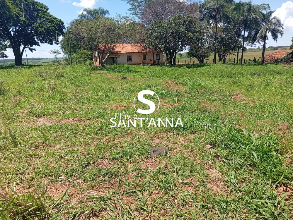 Sítio, 3 quartos, 4 m² - Foto 15