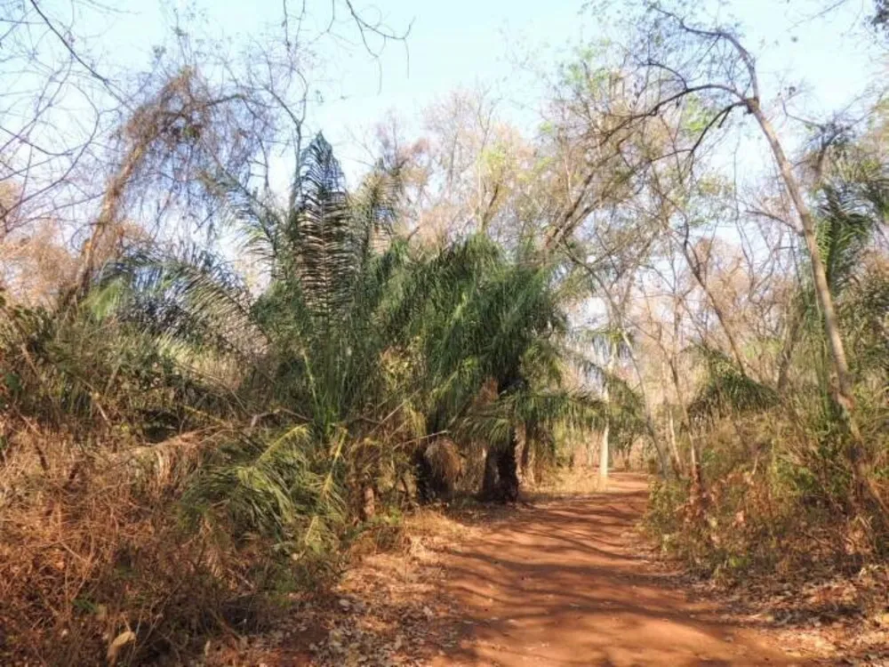 Terreno, 450 m² - Foto 11