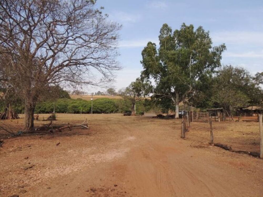 Chácara, 2 hectares - Foto 4