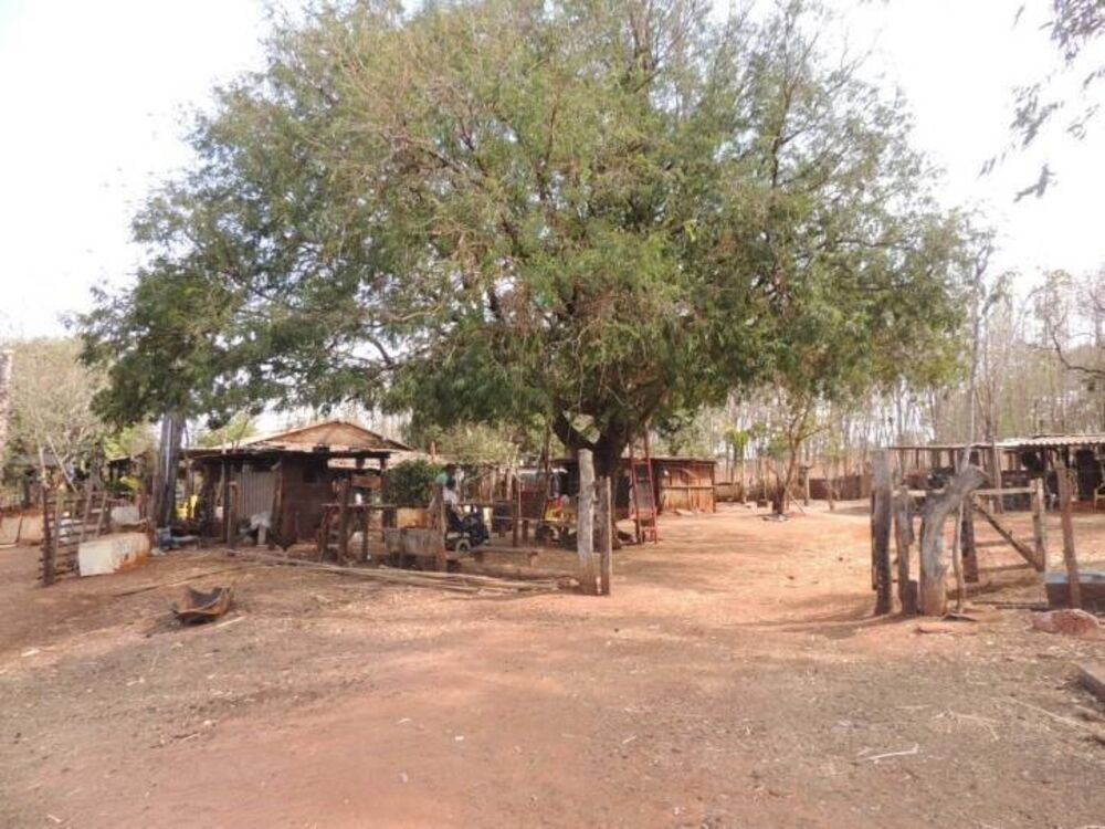 Chácara, 2 hectares - Foto 5