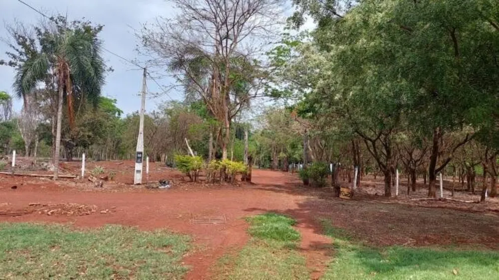Chácara, 3 quartos, 450 m² - Foto 2
