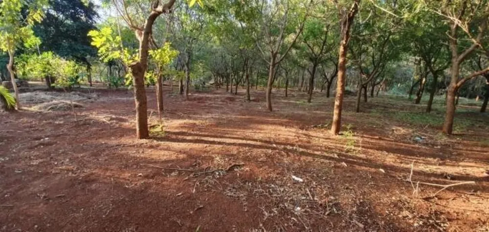 Chácara, 3 quartos, 450 m² - Foto 1