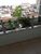 Apartamento, 3 quartos, 160 m² - Foto 4