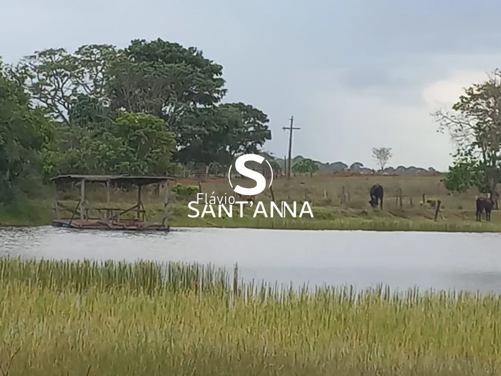 Fazenda - Foto 8