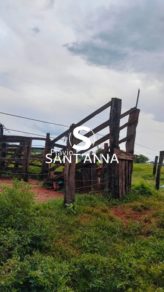 Fazenda - Foto 6