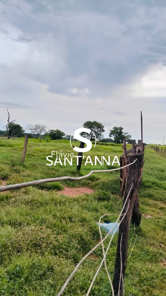 Fazenda - Foto 4