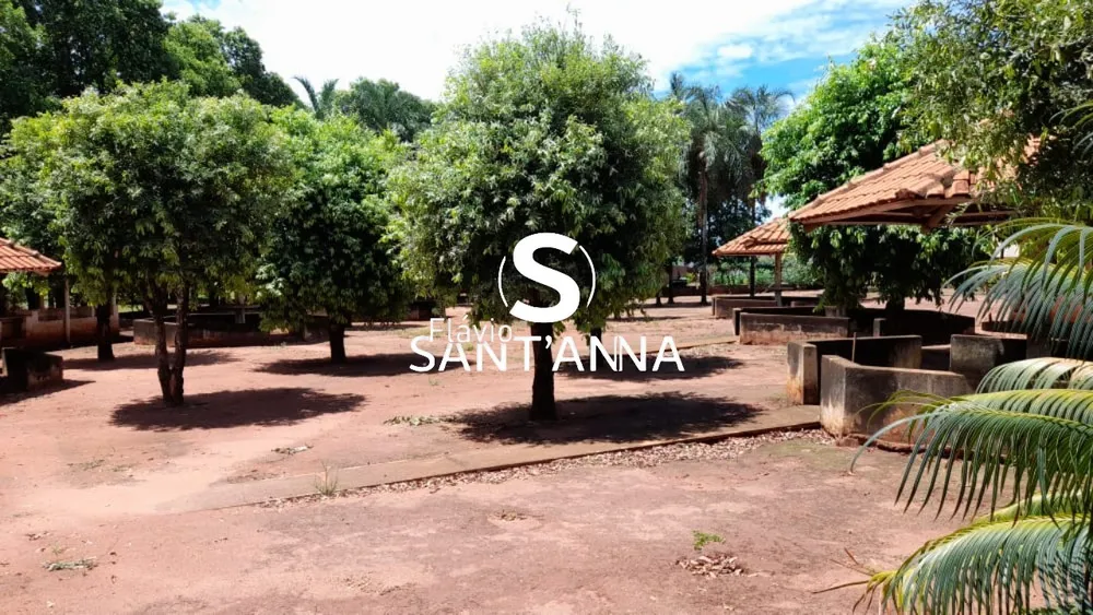 Sítio, 3 quartos, 3 hectares - Foto 18