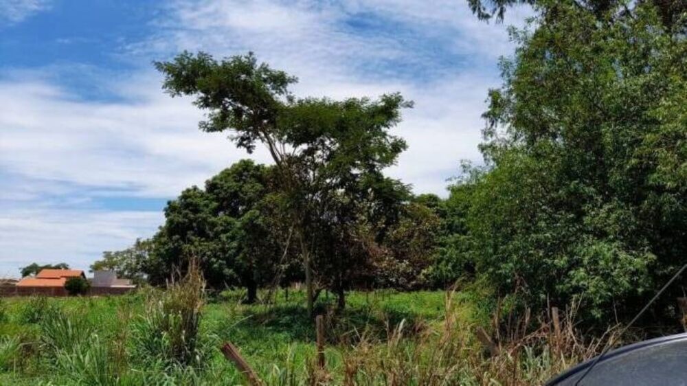 Chácara, 3 quartos, 3 hectares - Foto 18