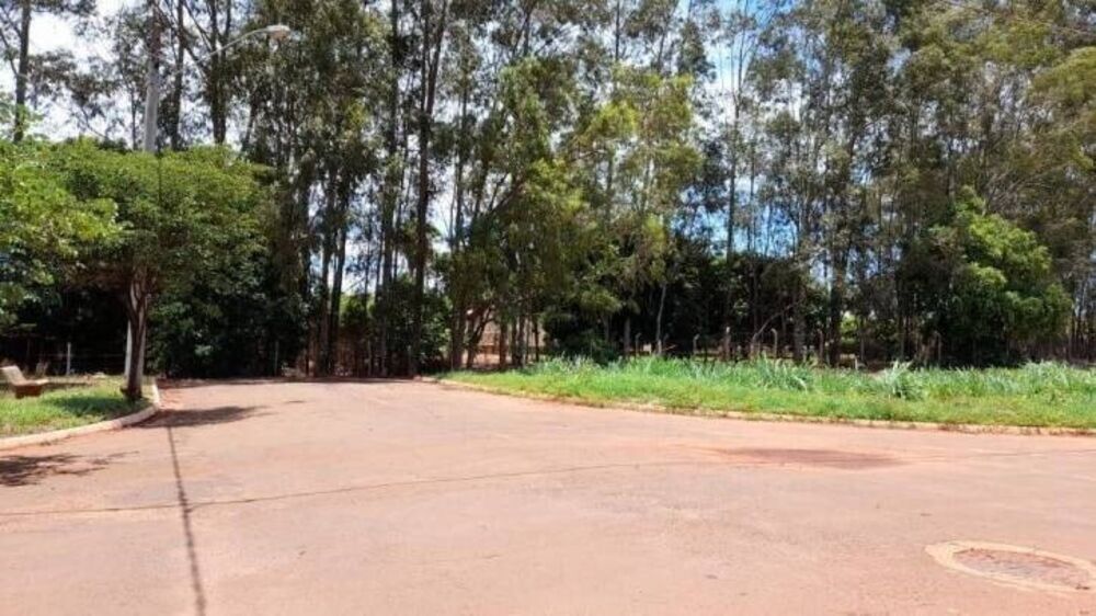 Chácara, 3 quartos, 3 hectares - Foto 17