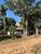 Terreno, 2 hectares - Foto 1