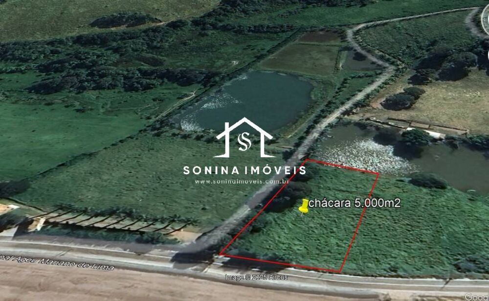 Terreno, 5000 m² - Foto 3