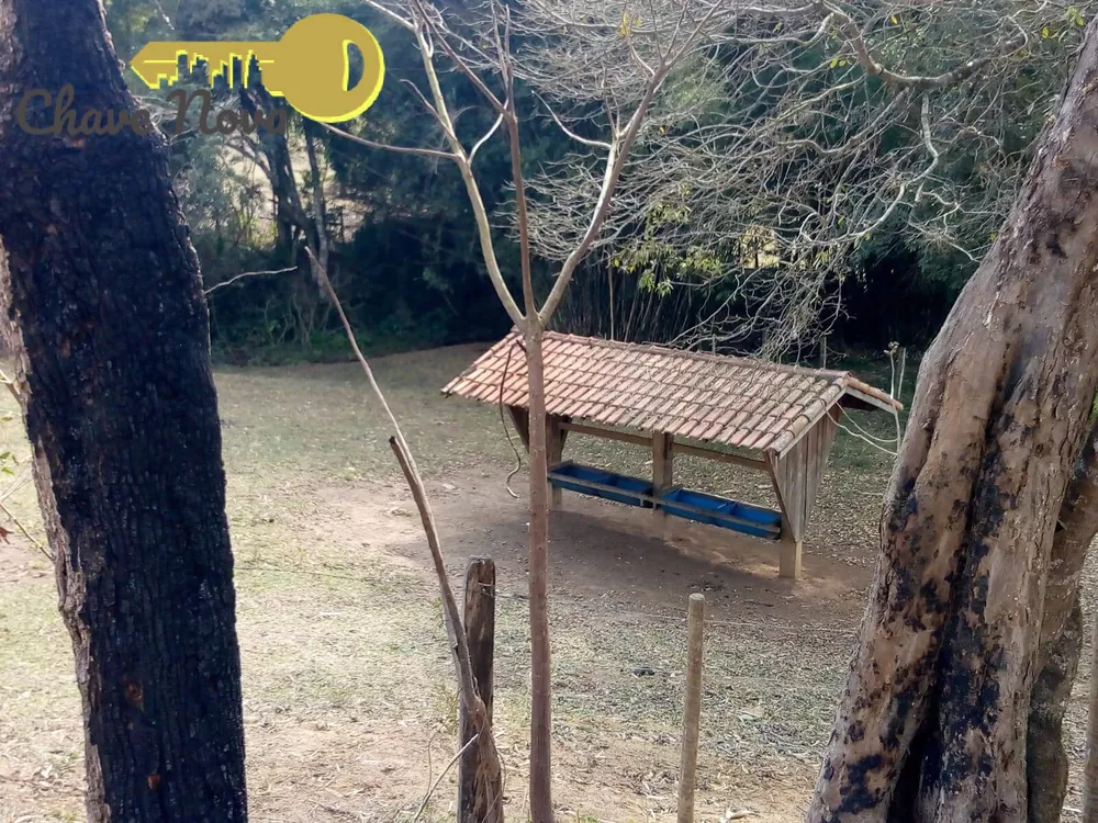 Fazenda à venda com 3 quartos, 200m² - Foto 4