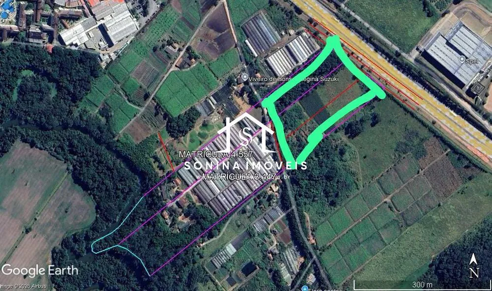 Terreno, 4 hectares - Foto 3