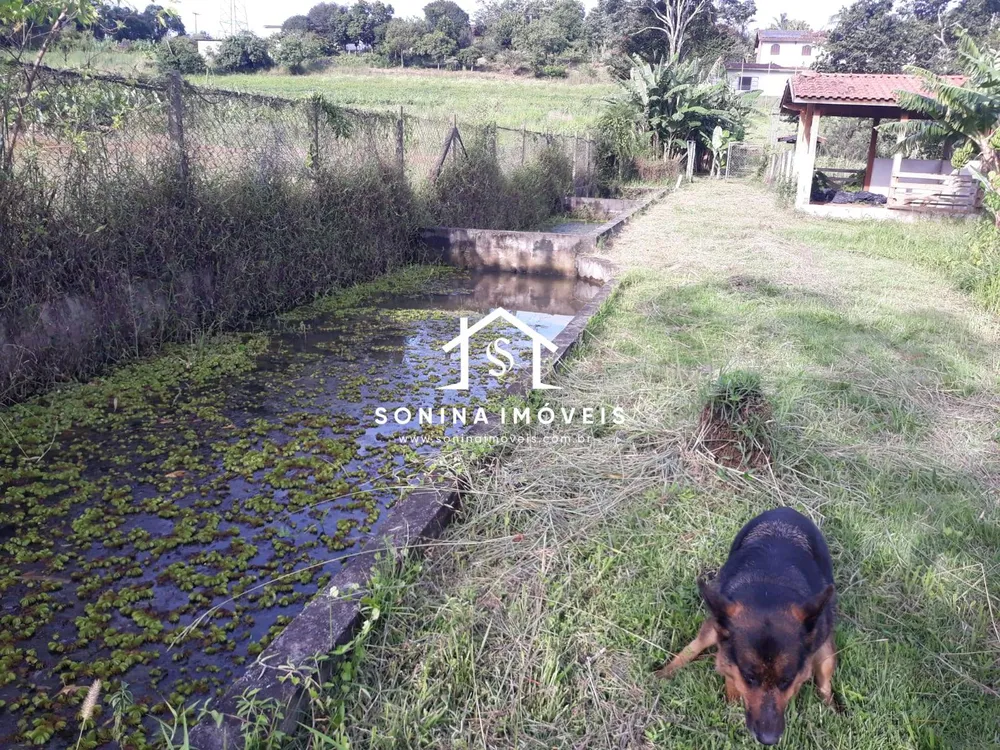 Sítio, 5 quartos, 2 hectares - Foto 2
