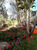 Prédio Inteiro, 1200 m² - Foto 4