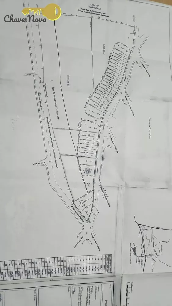 Terreno à venda, 30000m² - Foto 4