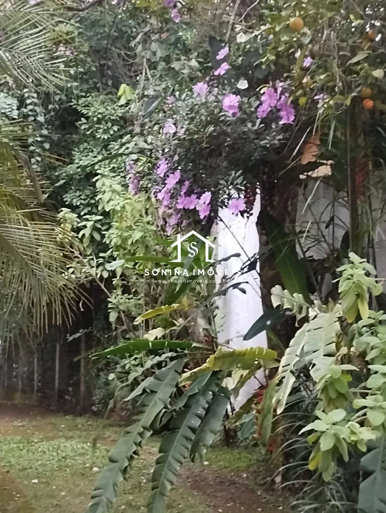 Chácara, 4 quartos, 1000 m² - Foto 4