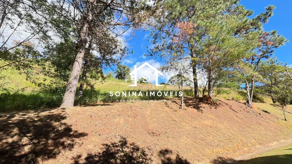 Terreno, 2 hectares - Foto 4