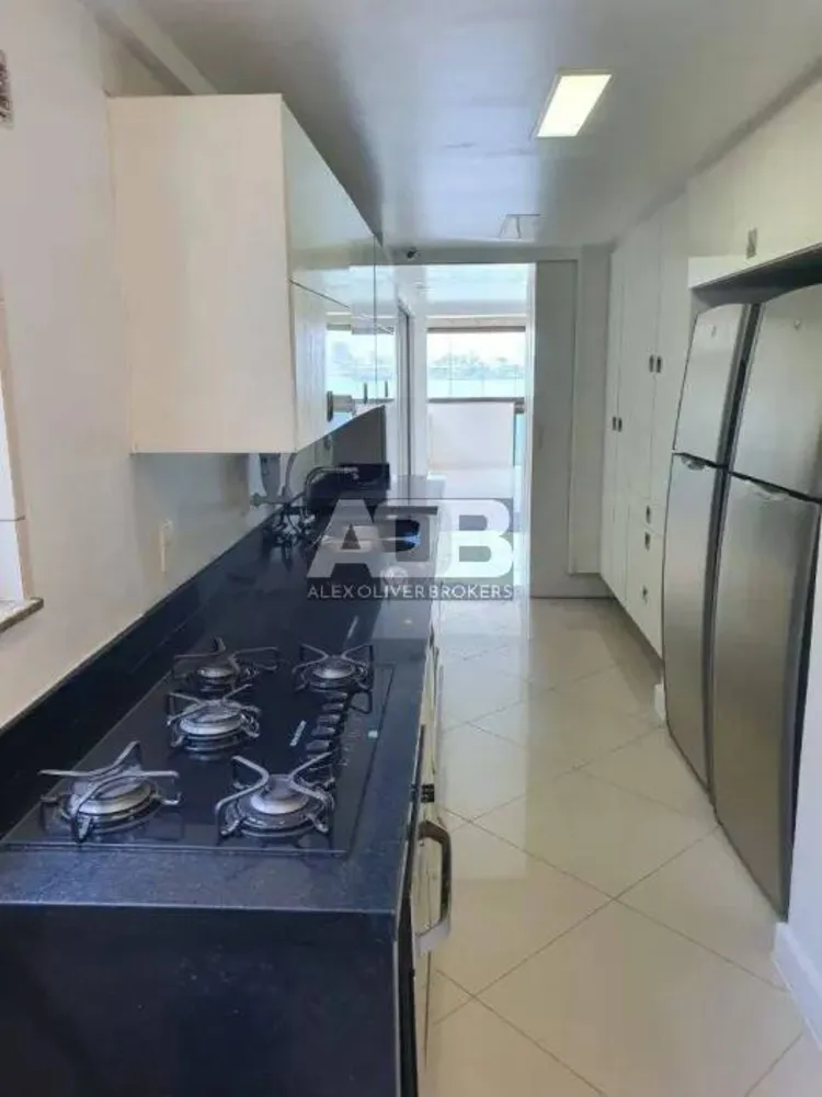 Cobertura, 4 quartos, 317 m² - Foto 31