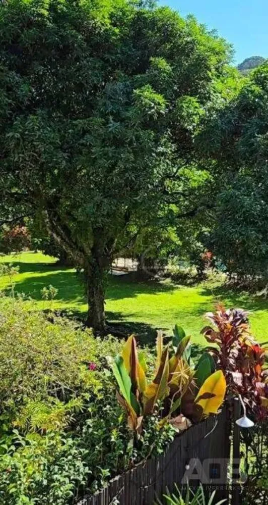 Casa, 4 quartos, 238 m² - Foto 28
