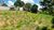 Terreno, 1000 m² - Foto 8