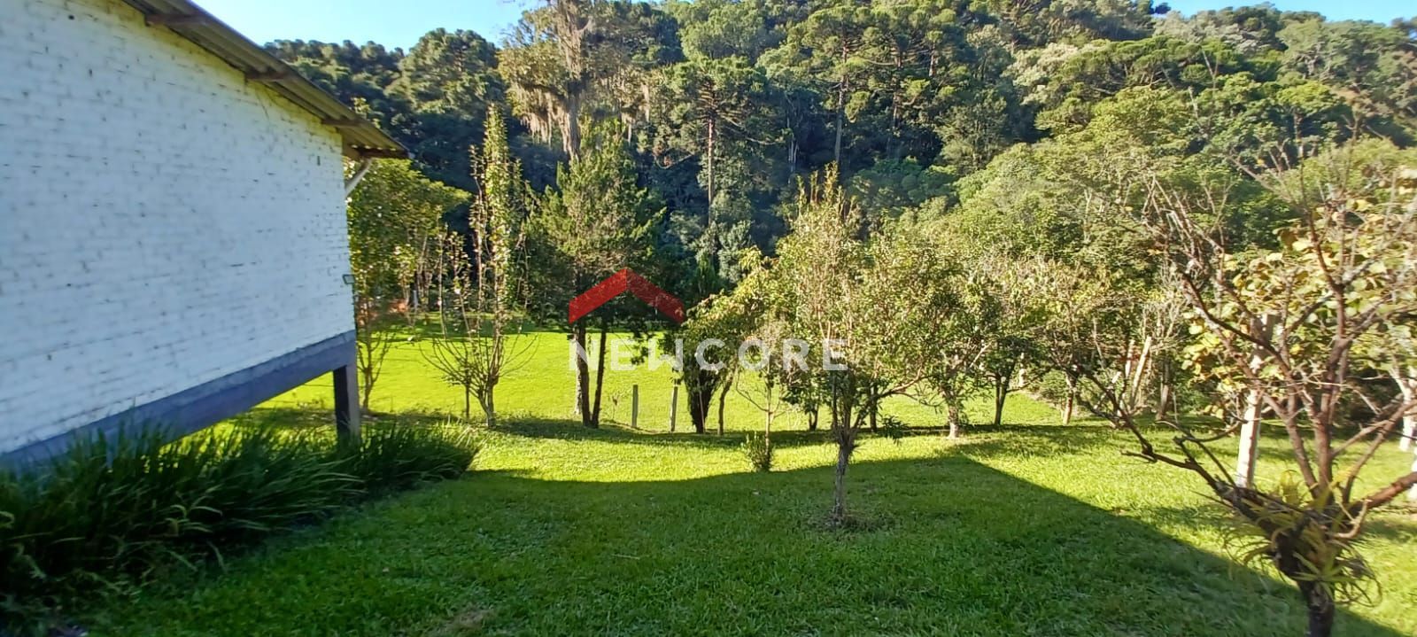 Chácara à venda com 4 quartos, 150m² - Foto 30