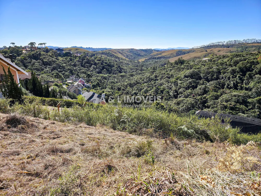 Terreno, 1004 m² - Foto 11