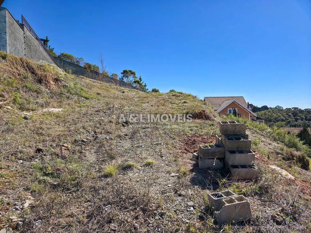 Terreno, 1004 m² - Foto 8