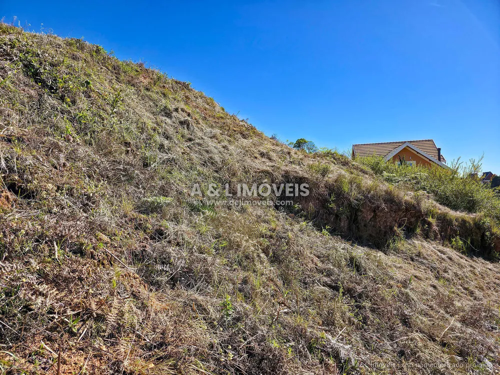 Terreno, 1004 m² - Foto 12