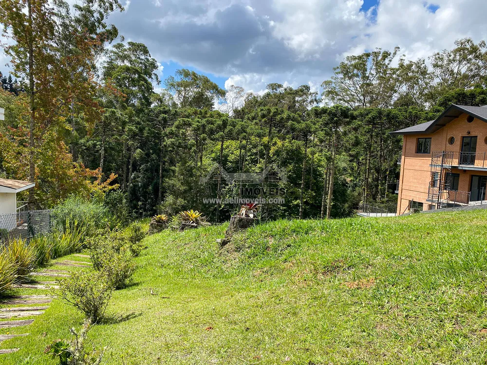 Terreno, 1302 m² - Foto 3
