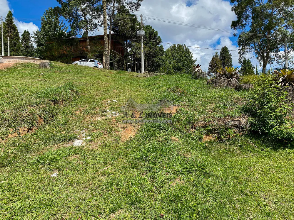 Terreno, 1302 m² - Foto 4