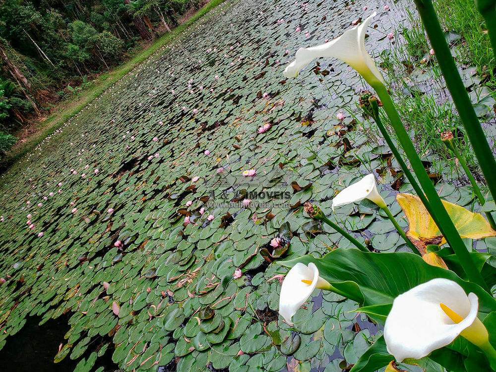 Terreno, 1302 m² - Foto 4