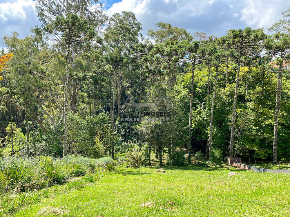 Terreno, 1302 m² - Foto 1
