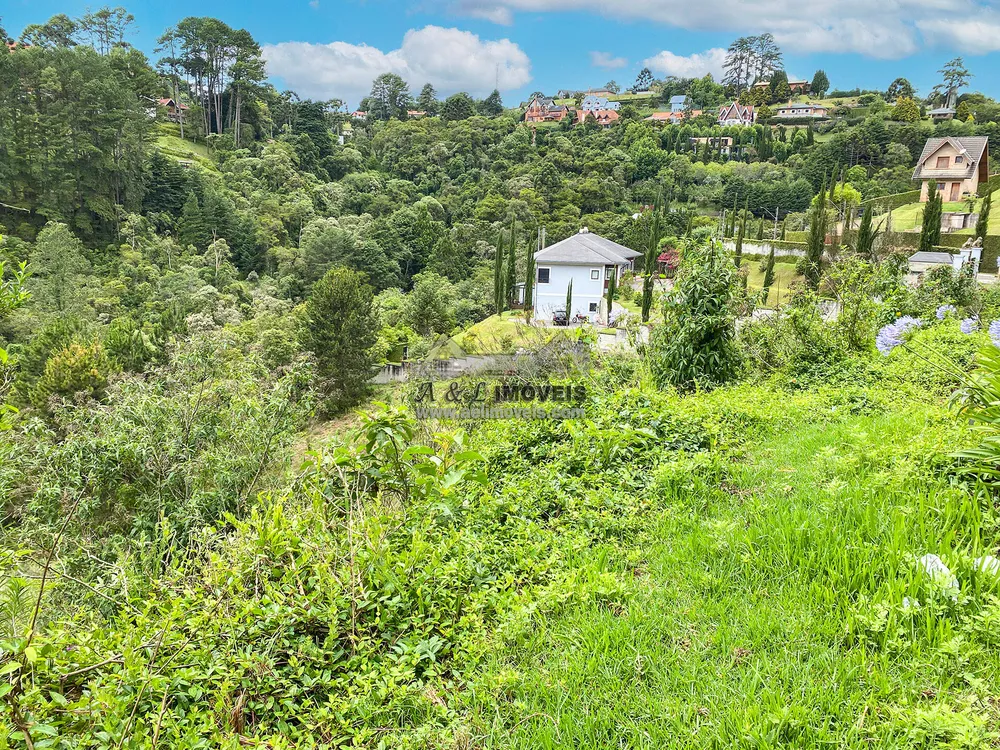 Terreno, 2517 m² - Foto 3