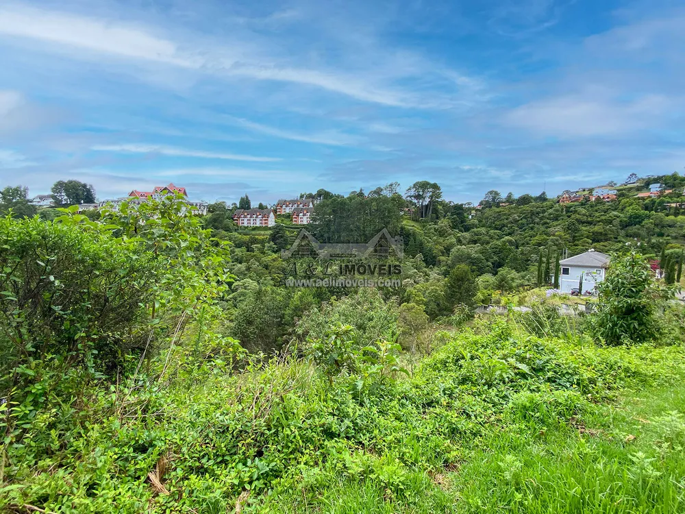 Terreno, 2517 m² - Foto 6