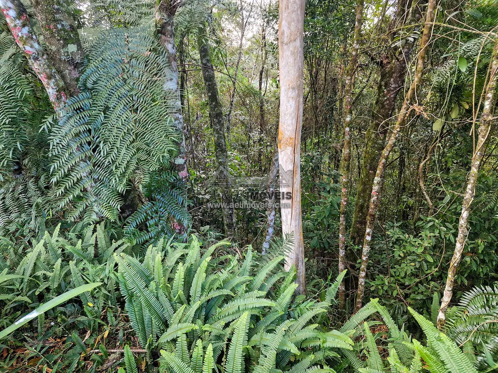 Terreno à venda, 1100m² - Foto 3