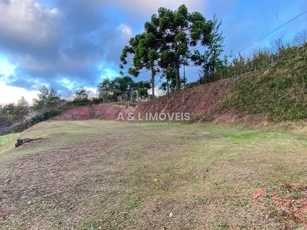Terreno, 6111 m² - Foto 8