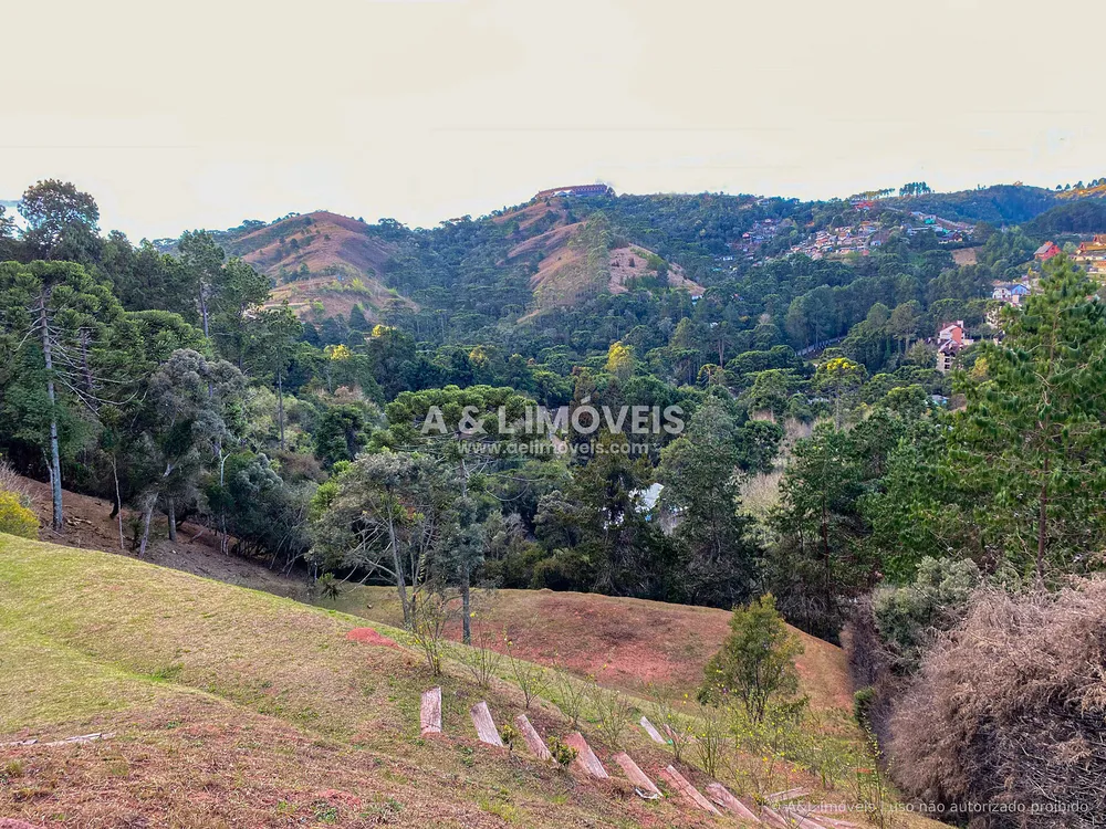 Terreno, 6111 m² - Foto 7