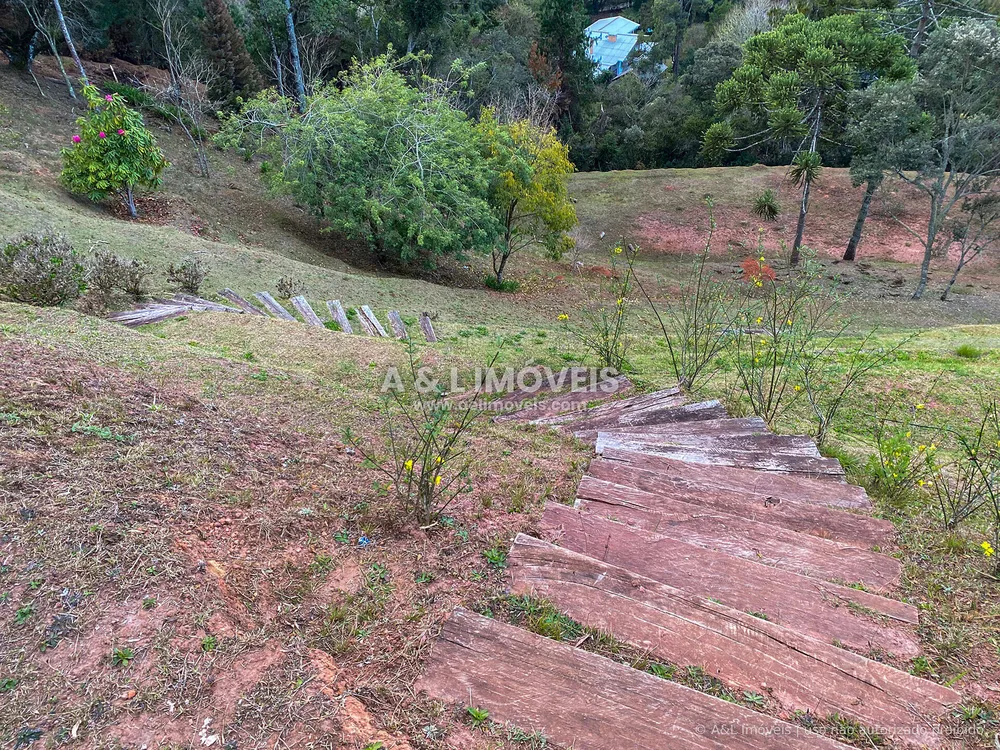 Terreno, 6111 m² - Foto 5