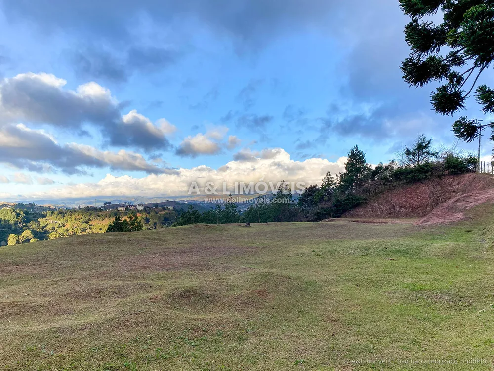Terreno, 6111 m² - Foto 3