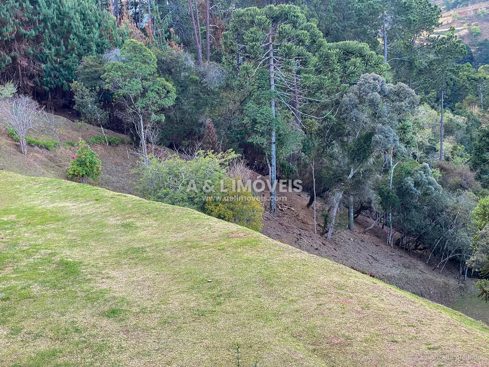 Terreno, 6111 m² - Foto 10