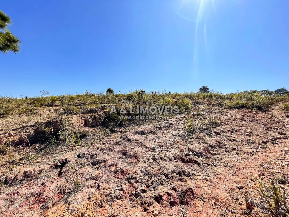 Terreno, 5268 m² - Foto 4