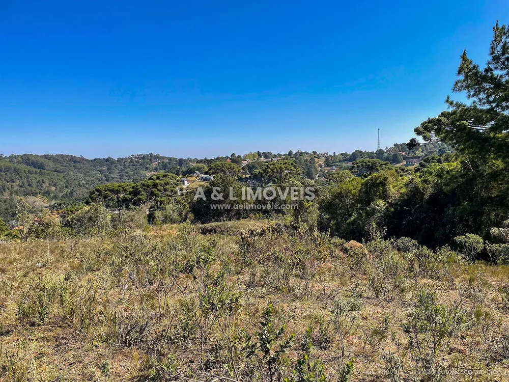 Terreno, 5268 m² - Foto 7