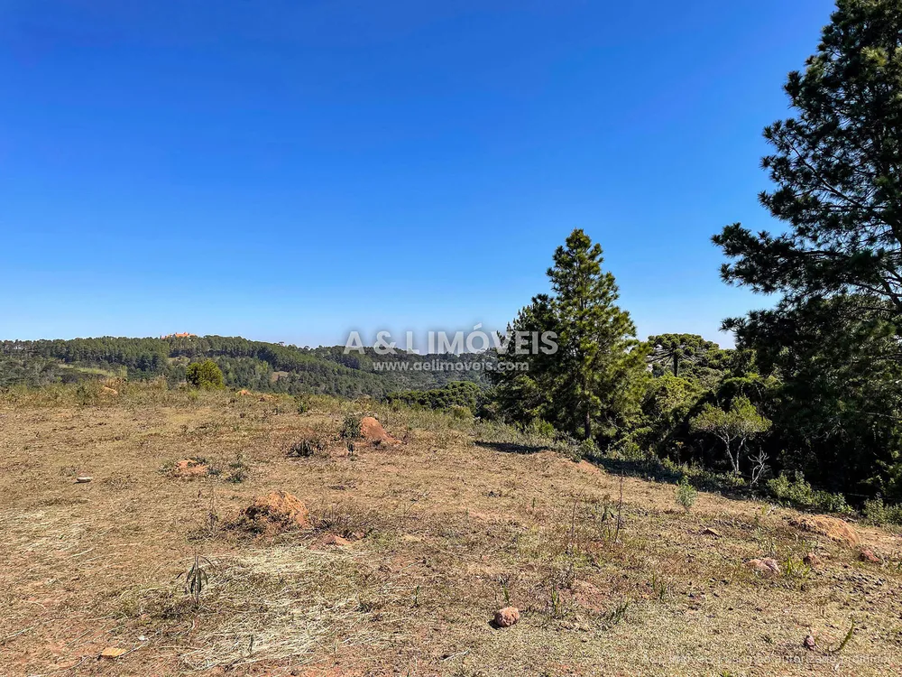 Terreno, 5268 m² - Foto 3