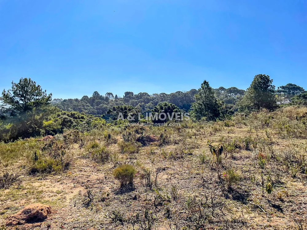 Terreno, 5268 m² - Foto 12