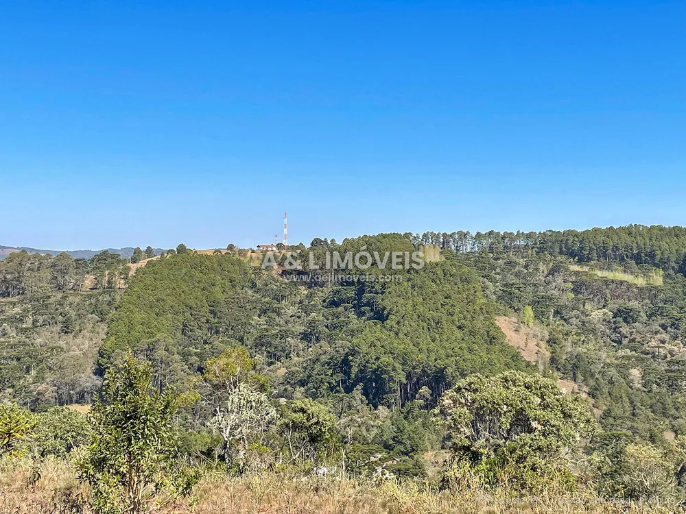 Terreno, 5268 m² - Foto 9
