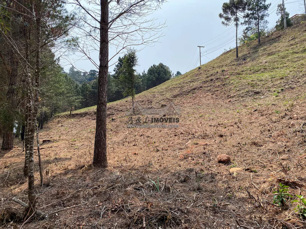 Terreno à venda - Foto 4