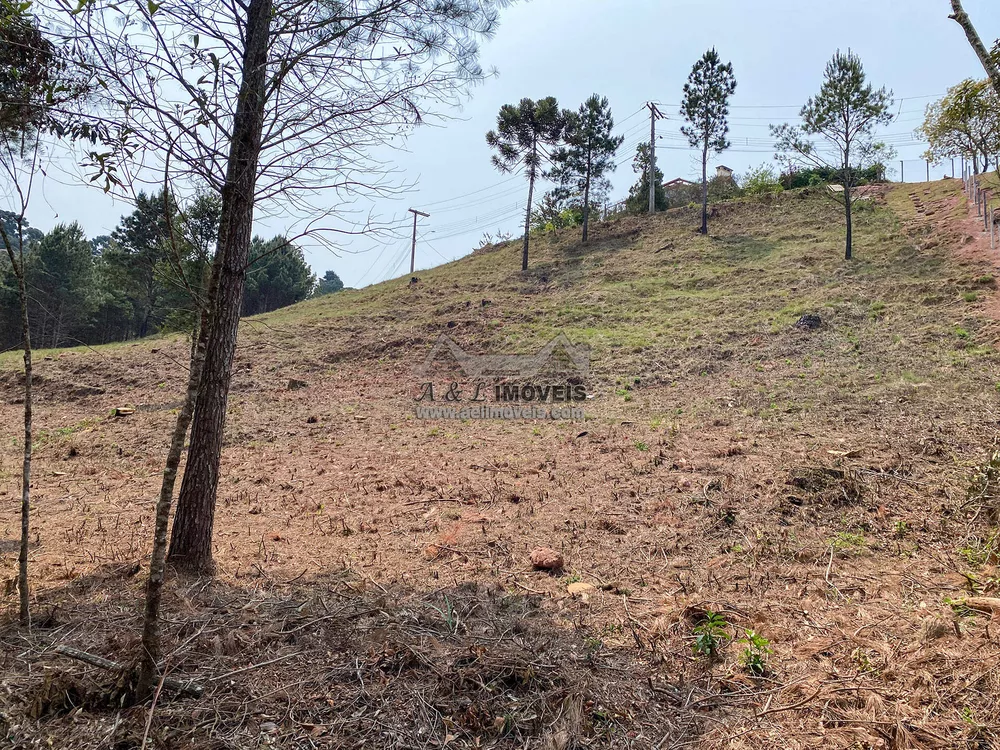 Terreno à venda - Foto 3