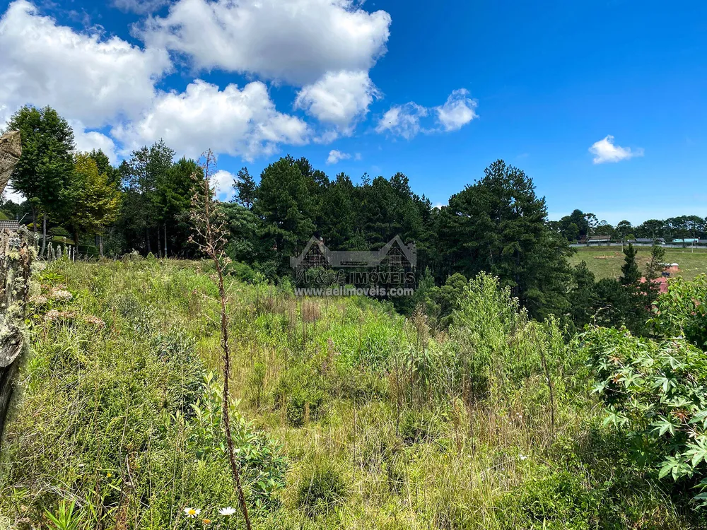Terreno, 1600 m² - Foto 1