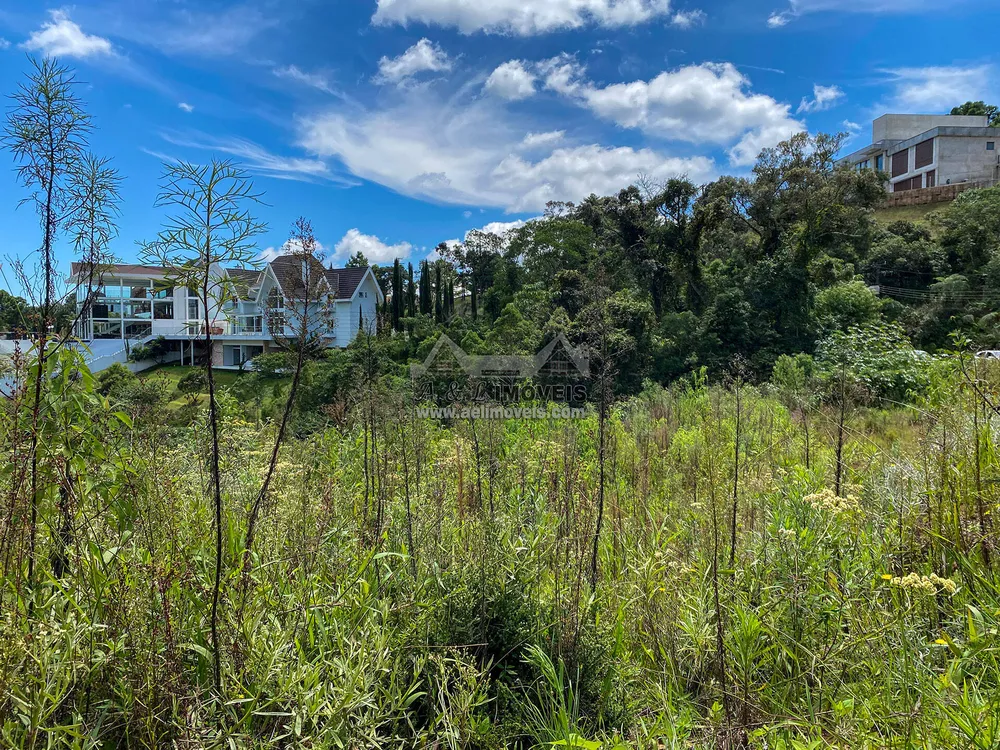 Terreno, 1600 m² - Foto 11